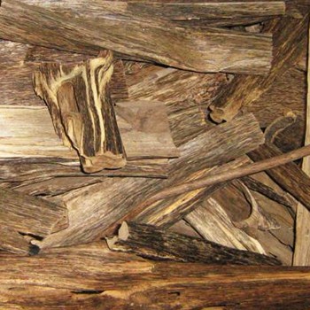 Agarwood CO2 Image