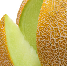 Honeydew Melon Image