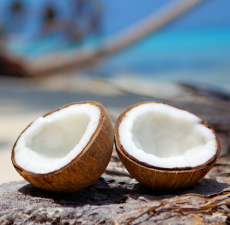 COCONUT