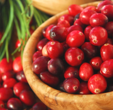 Cranberry Image