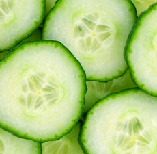 Cucumber