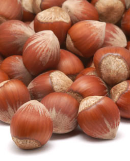 Hazelnut