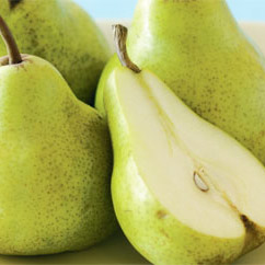 Pear Image